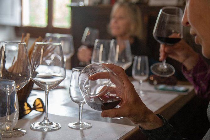 From Florence to Chianti Rufina: Wine Tasting Experience - Key highlights at a glance