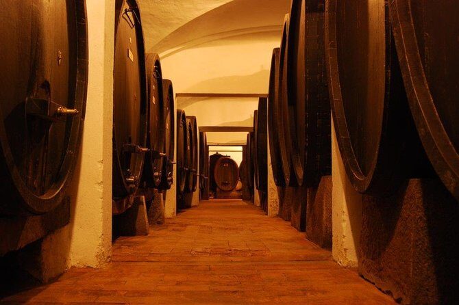 From Florence to Chianti Rufina: Wine Tasting Experience - Snacks during tasting: Tuscan cheese, salami, and why it helps