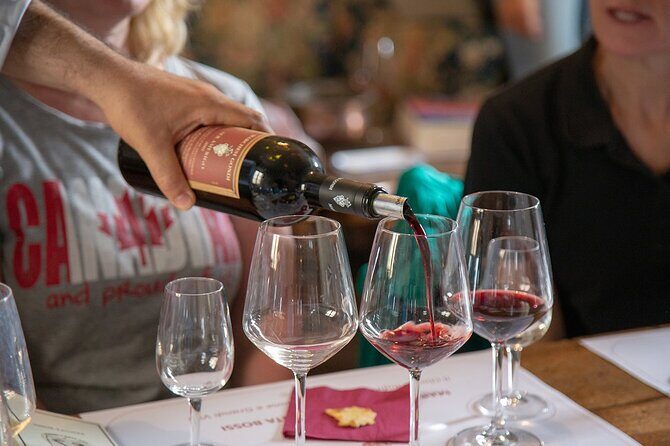 From Florence to Chianti Rufina: Wine Tasting Experience - Who should book this Chianti Rufina wine tasting
