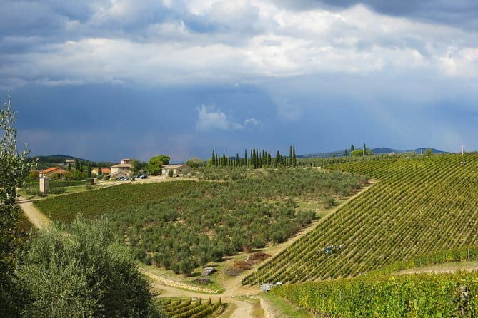 From Florence to Siena - San Gimignano & Pisa by private minivan - The Real Value: Private Touring Without Car Rental Headaches