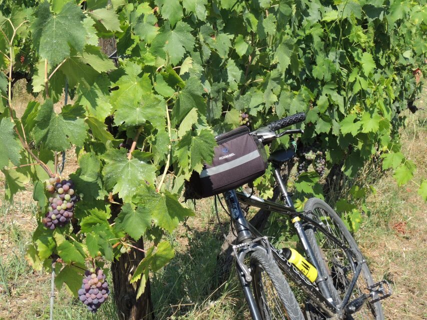 From Florence: Tuscan Hills Biking with Farm Tour and Lunch - The Downhill Return: Why the End of the Day Feels Good