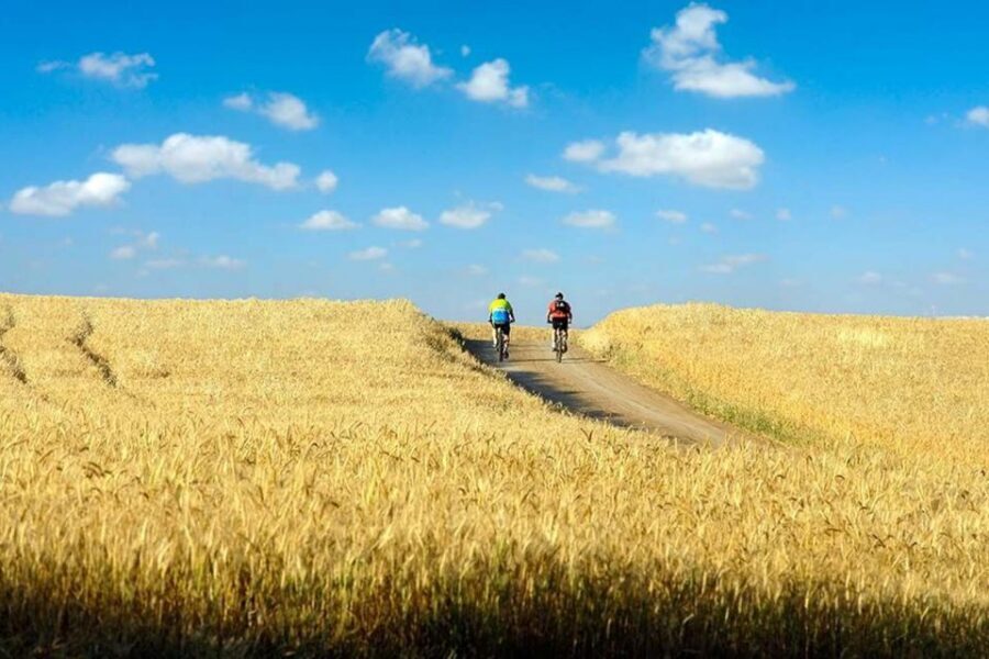 From Florence: Tuscany by E-Bike with Lunch and Wine Tasting - Tuscany by E-Bike: How This Day Trip Really Feels From Florence