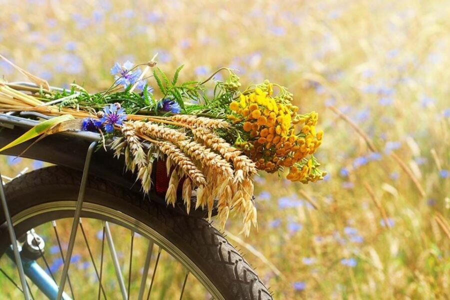 From Florence: Tuscany by E-Bike with Lunch and Wine Tasting - Weather and Changes: The Real-World Risk of a Day in the Hills
