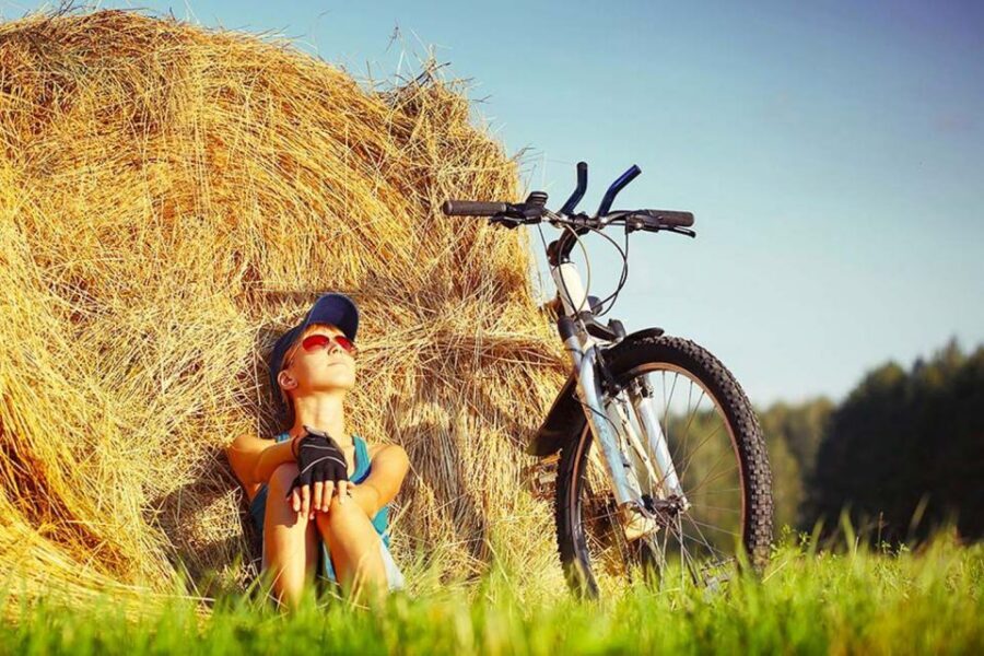 From Florence: Tuscany by E-Bike with Lunch and Wine Tasting - Price and Value: Is $146.14 Worth a Florence-to-Chianti Day?