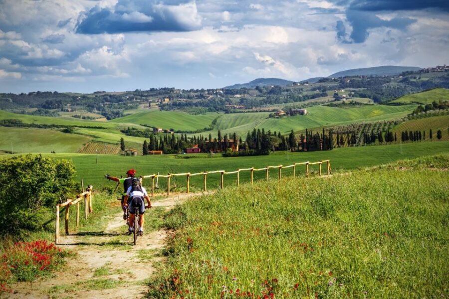 From Florence: Tuscany by E-Bike with Lunch and Wine Tasting - Chianti Hills by E-Bike: What You’re Really Signing Up For