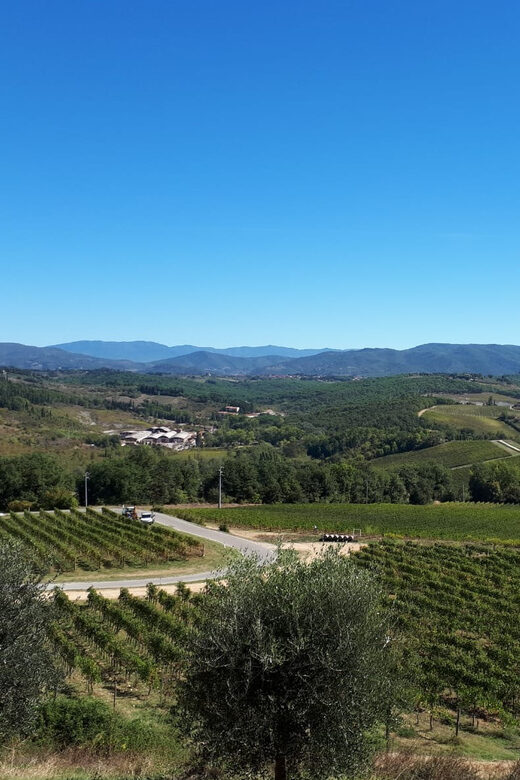 From Florence: Vintage Fiat 500 Chianti & Tuscany Wine Tour - Key points worth knowing before you go