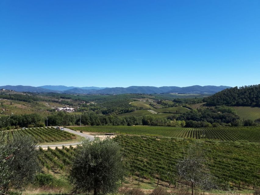 From Florence: Vintage Fiat 500 Chianti & Tuscany Wine Tour - The first countryside stop: a local-feeling view of Florence