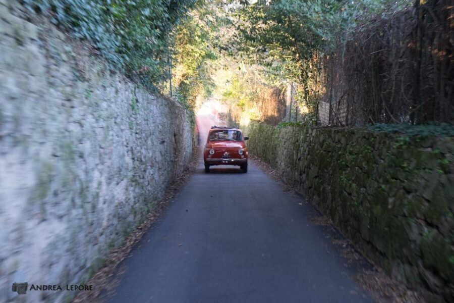 From Florence: Vintage Fiat 500 Chianti & Tuscany Wine Tour - Wine tasting: turning the countryside into something you can taste