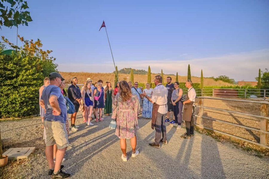 From Florence: Wine Tasting and Dinner in Chianti Vineyards - Winery No. 2 dinner among the vines: the sunset payoff