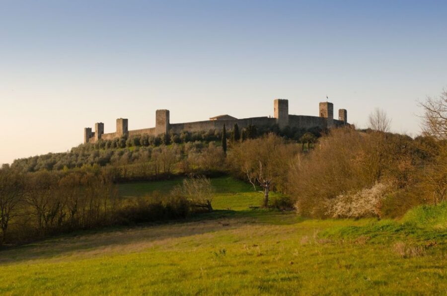 Full-Day Excursion to Siena, San Gimignano & Chianti - Should you book this Siena–San Gimignano day trip?