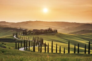 Full Day PRIVATE Guided Tour in Val D'Orcia Region - Montalcino tasting with Fabio: Brunello, step by step, in a tiny organic setting