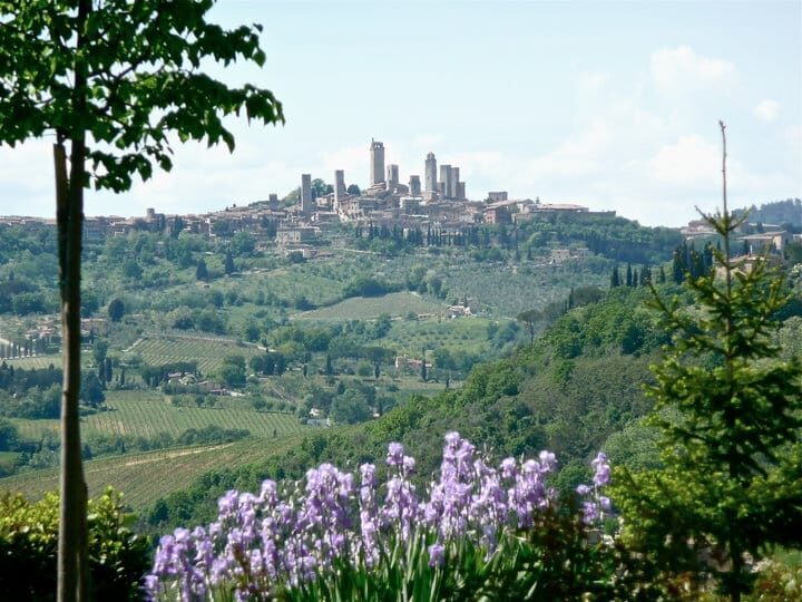Full-Day Tour of Tuscany from Florence-small group up 8 pax - San Gimignano: towers, UNESCO status, and a gelato payoff