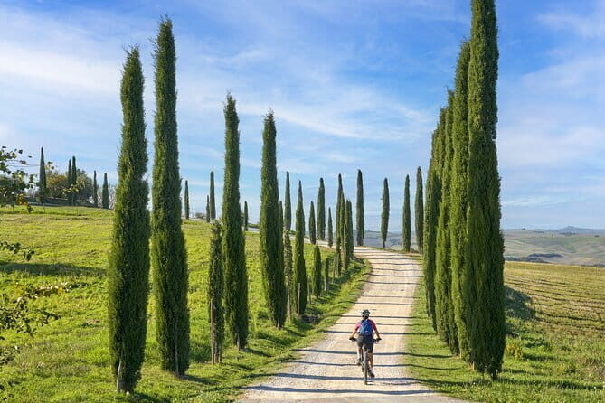 Full Day Tour to Val d'Orcia and Gladiator's Fields with Wines - Fortezza di Montalcino: the uphill payoff for your photos