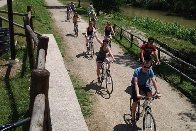 Full-Day Tuscan Countryside Bike Tour - Riding through Chianti country: what the cycling is really like