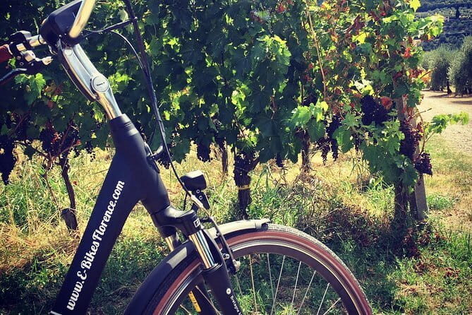 Full-Day Tuscany and Chianti Hills Bike Tour With Lunch at Farm - Choosing between the regular bike and the e-bike upgrade (30€)