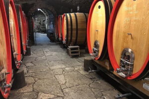 Full-Day Tuscany Castles Tour with Wine Tasting from Florence - Castello del Trebbio: old cellars and a five-wine tasting