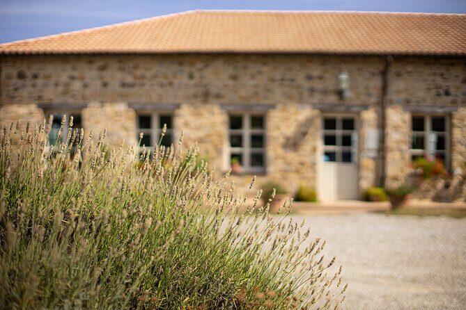 Gourmet Wine & Food Tasting - Practical tips to make the tasting smoother