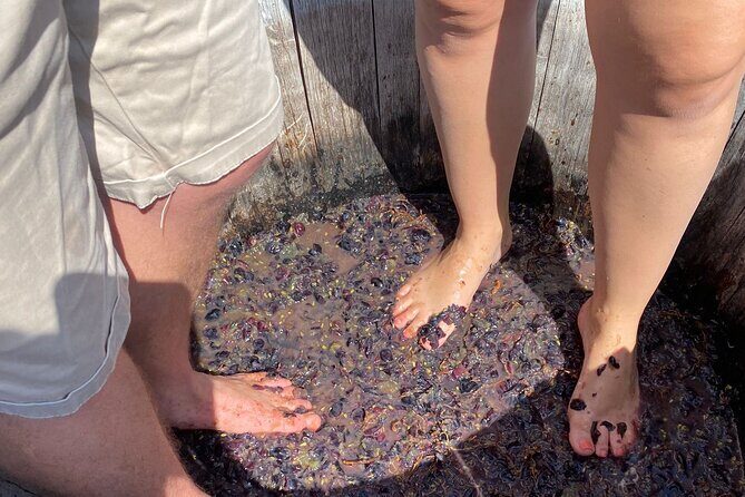 Grape Stomping Experience and Wine Tasting - Arriving at Cantine Guidi 1929: private, short, and focused