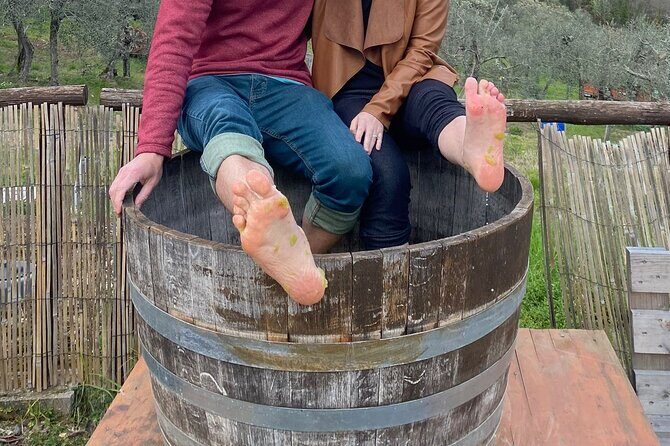 Grape Stomping Experience and Wine Tasting - Harvest season expectations: picking grapes isn’t guaranteed year-round