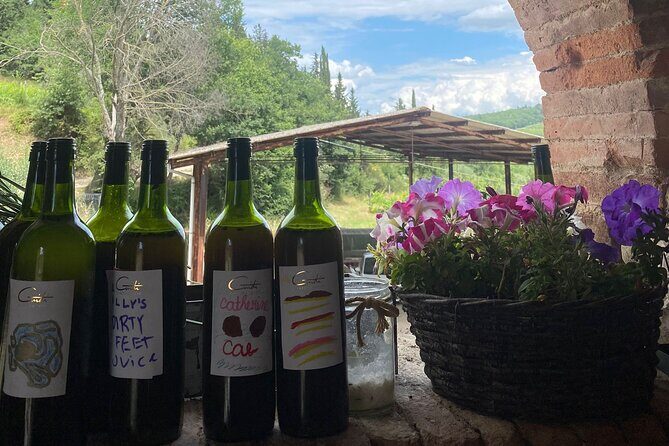 Grape Stomping Experience and Wine Tasting - Value check: does $178.71 make sense?