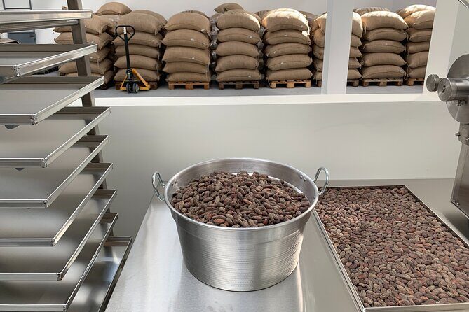 Guided tour of the Artisan Chocolate Factory in Tuscany - Key Highlights You’ll Actually Care About