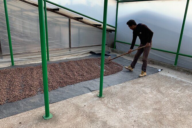 Guided tour of the Artisan Chocolate Factory in Tuscany - Logistics That Matter: Timing, Meeting Point, and Staying On Track