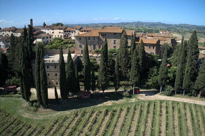 Guided tour with wine tasting and local organic products - Key highlights before you go