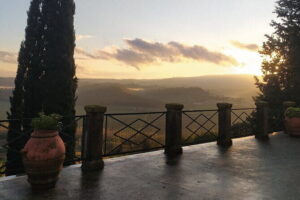 Guided tour with wine tasting and local organic products - Tuff cellars and an old oil mill tasting room