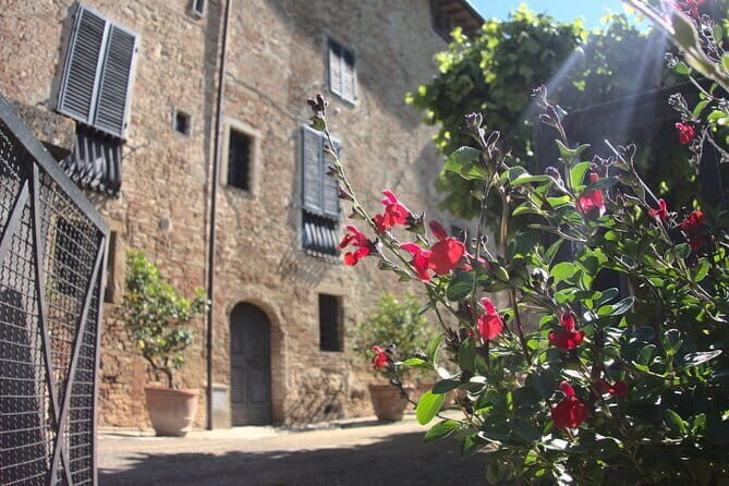 Guided tour with wine tasting and local organic products - A realistic picture of your 2-hour timeline