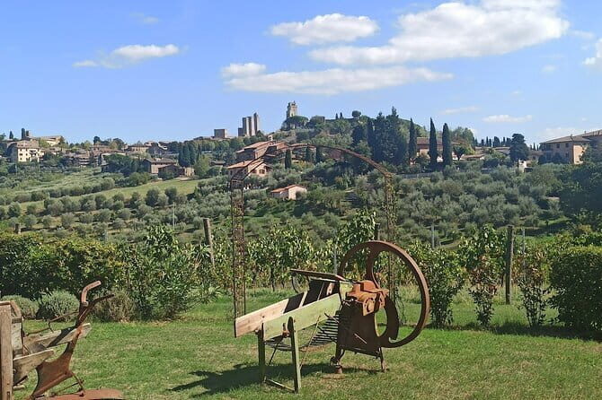 HALF-DAY: Chianti Classic Tour with Wine Experience & visit of San Gimignano - Key things to know before you go
