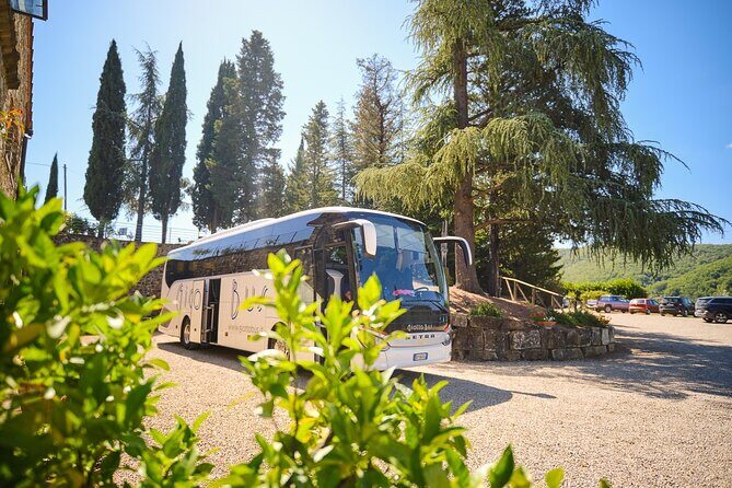 Half-day Experience to San Gimignano Hills with Picnic and Wine - Meeting at Piazzale Montelungo and Riding in Comfort