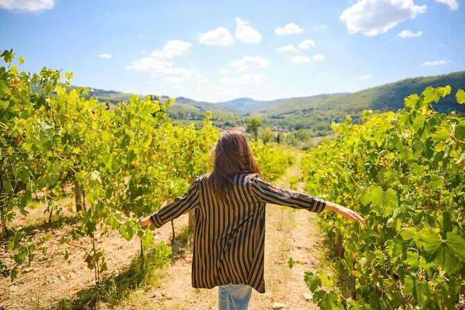 Half-day Experience to San Gimignano Hills with Picnic and Wine - Finding Your Pace: Free Time Inside the Medieval Lanes