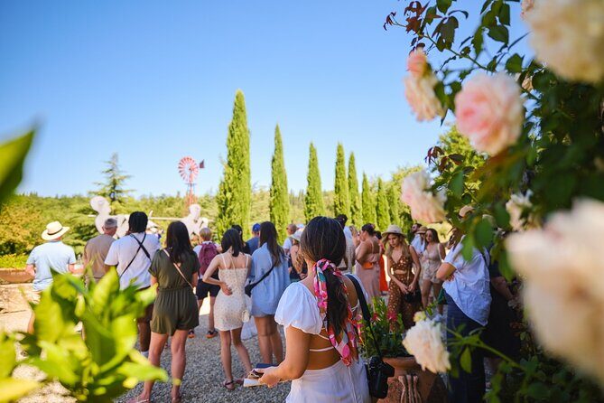 Half-day Experience to San Gimignano Hills with Picnic and Wine - Chianti Countryside Picnic with Vernaccia di San Gimignano