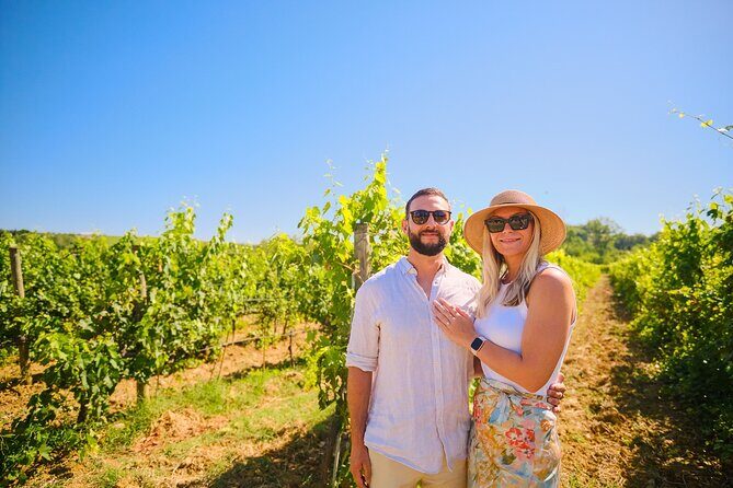 Half-day Experience to San Gimignano Hills with Picnic and Wine - Entering San Gimignano Through the Gate and Main Squares