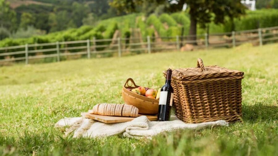 Half-day Hills Experience to San Gimignano with Pic Nic Wine - Free Time in Town: How to Use It Without Feeling Lost