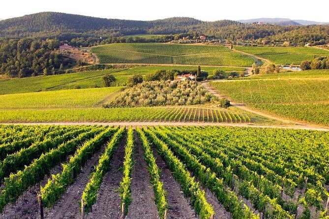 Half Day Tour Chianti Winery with San Gimignano - Half-Day Tuscany, Big-Place Vibes: How This Tour Works from Florence