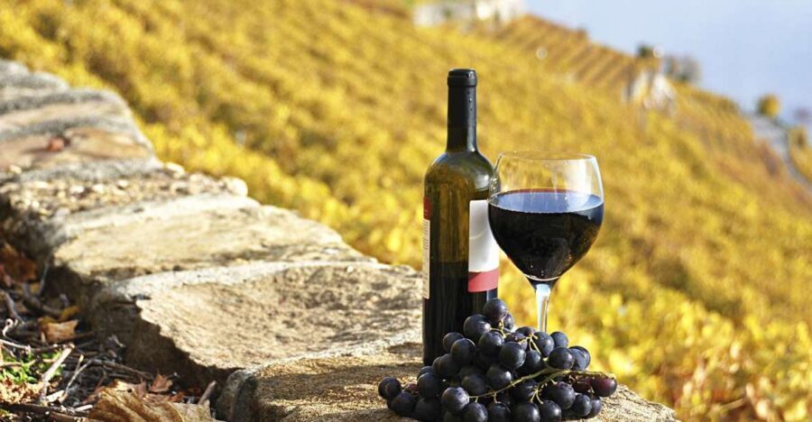 Half-Day Tour from Florence: Chianti Colors & Flavors - Key Things to Know Before You Go