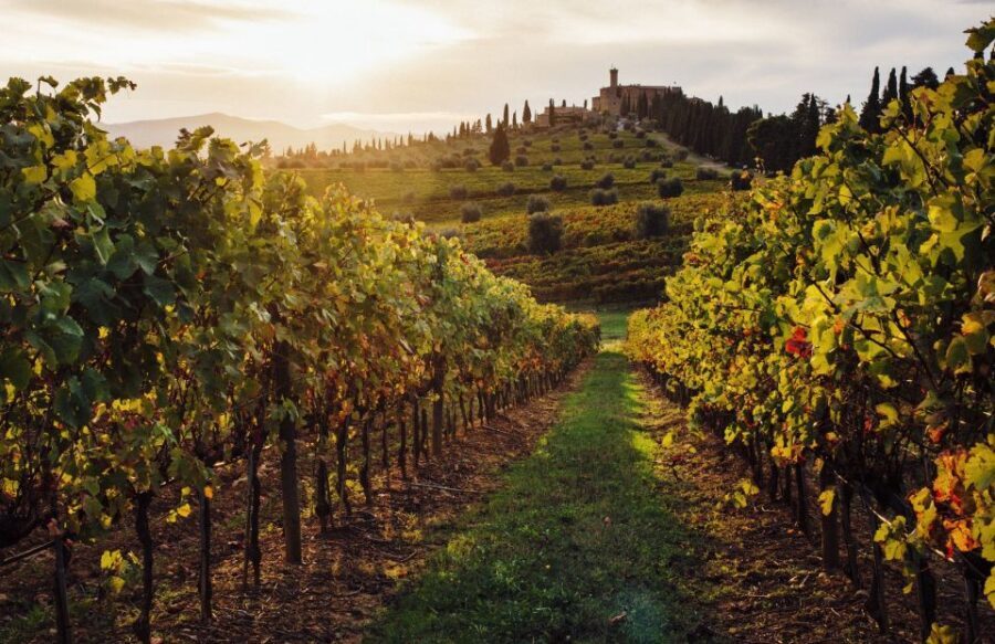 Half-Day Tour from Florence: Chianti Colors & Flavors - Stop 1: A Rustic Wine Estate in the Vineyards