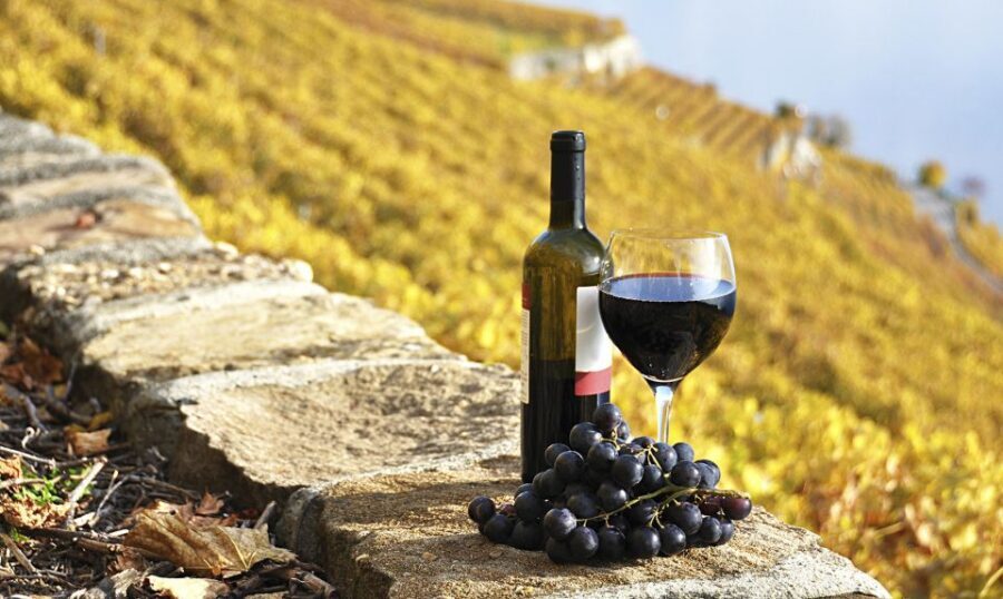 Half-Day Tour from Florence: Chianti Colors & Flavors - Greve in Chianti: The Town Break That Adds Balance