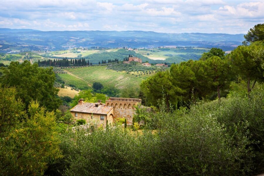 Half-Day Tour of San Gimignano From Florence - What Makes This Trip Worth It: Van Comfort and a Real Escort