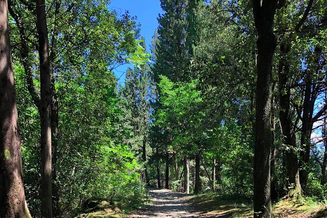 Hiking Florence Tuscany hills with lunch & wine - Monte Ceceri and Leonardo da Vinci’s Square