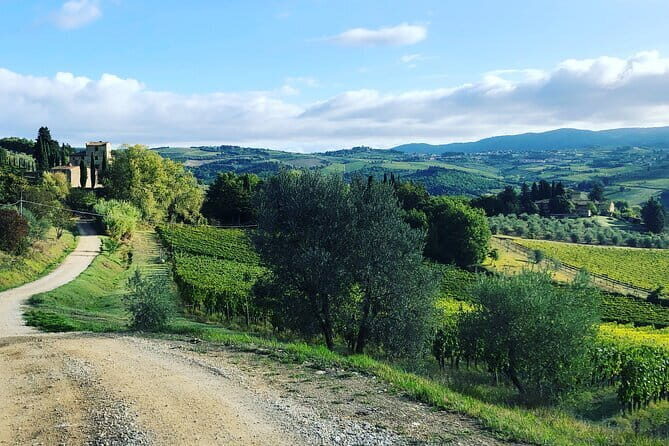 Hiking Tuscany & Chianti Wine - 3 Organic Wineries with lunch - Small Group, Local Guide, and the Real Wine-Expert Energy