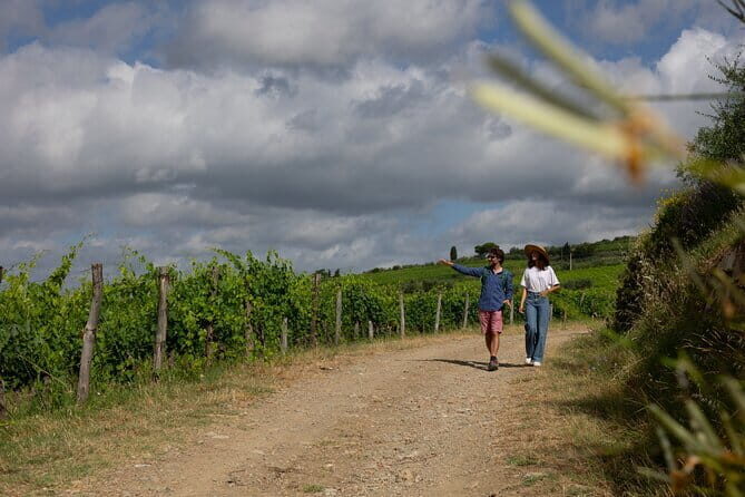 Hiking Tuscany & Chianti Wine - 3 Organic Wineries with lunch - A Day of Driving Through Chianti, Then Walking the Vines