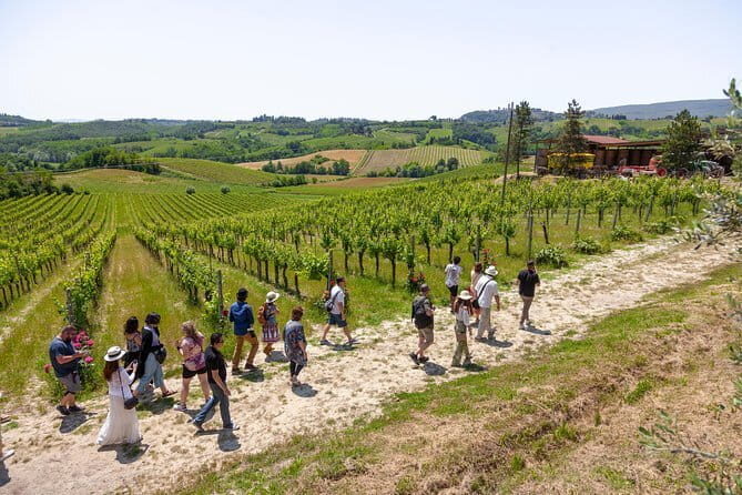 Hiking Tuscany & Chianti Wine - 3 Organic Wineries with lunch - What to Wear and Bring for a Comfortable Chianti Walk