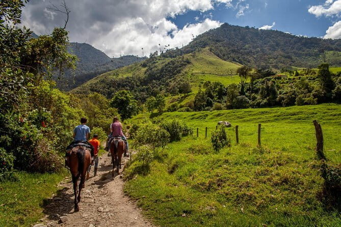 Horse ride in the Mugello (transfer from / to Florence) and Tuscan aperitif - Horse Ride in Mugello: Why This Works as a Florence Day Trip
