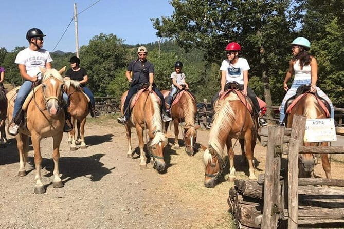 Horse ride in the Mugello (transfer from / to Florence) and Tuscan aperitif - The 1.5-Hour Horse Ride: What You’ll Actually Feel and Need