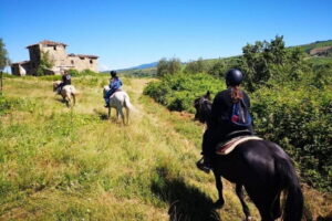 Horseback ride and Poolside Day chillout with Tuscan Lunch - The 1h15 Horseback Ride: Beginner-Friendly, With Safety Gear