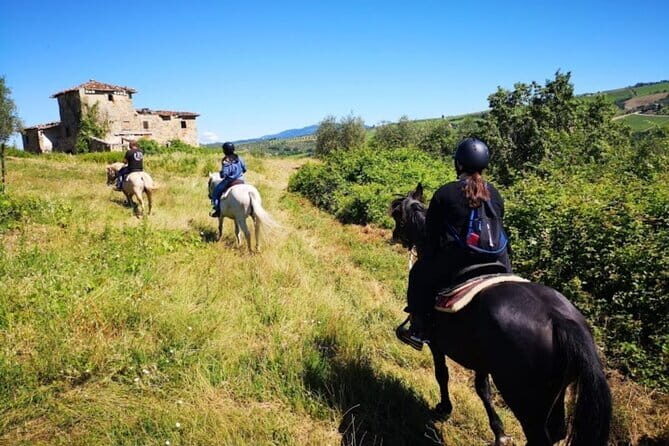 Horseback ride and Poolside Day chillout with Tuscan Lunch - The 1h15 Horseback Ride: Beginner-Friendly, With Safety Gear