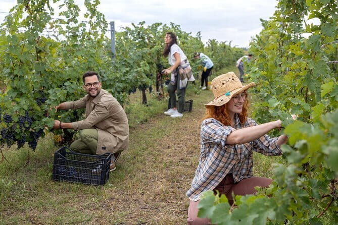 Horseback riding & Wine Tasting and snack Lunch at noble Estate - Wine tasting with Tuscan light lunch: what you actually get