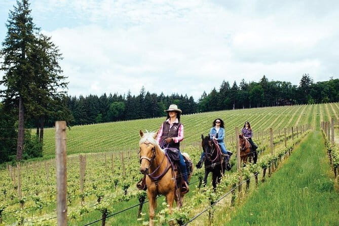 Horseback riding & Wine Tasting and snack Lunch at noble Estate - What the privacy really changes (beyond not sharing seats)